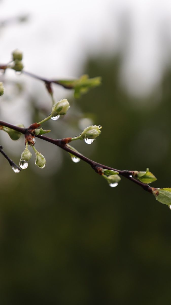 Весеннее обострение